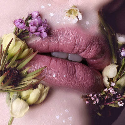 Shanghai Suzy - Miss Steph Baby Lavender Satin Luxe Formula Lipstick - Hey Sara